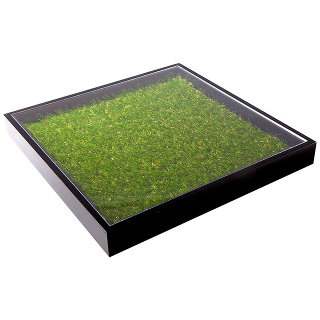 Wooden Tray with Black Perspex Top